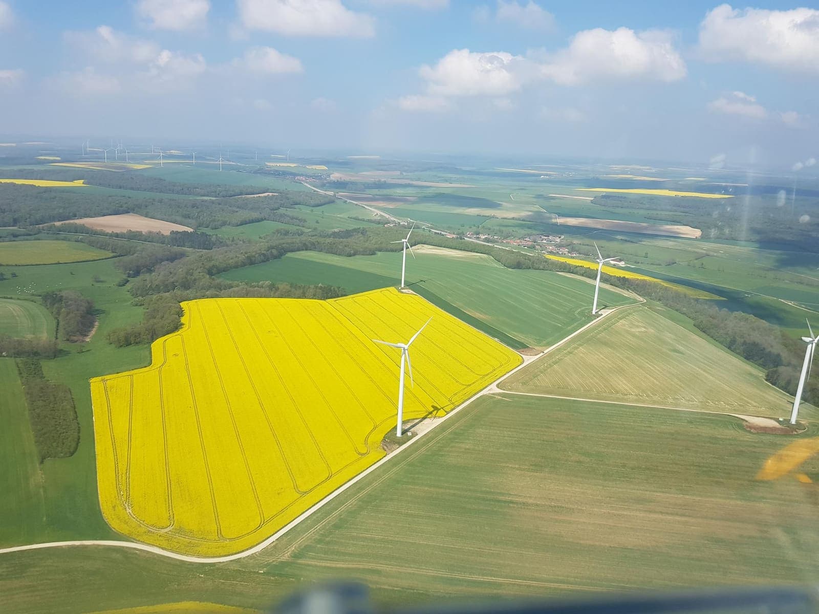 Yellow rapeseed fields and wind turbines in northern France seen from the glider